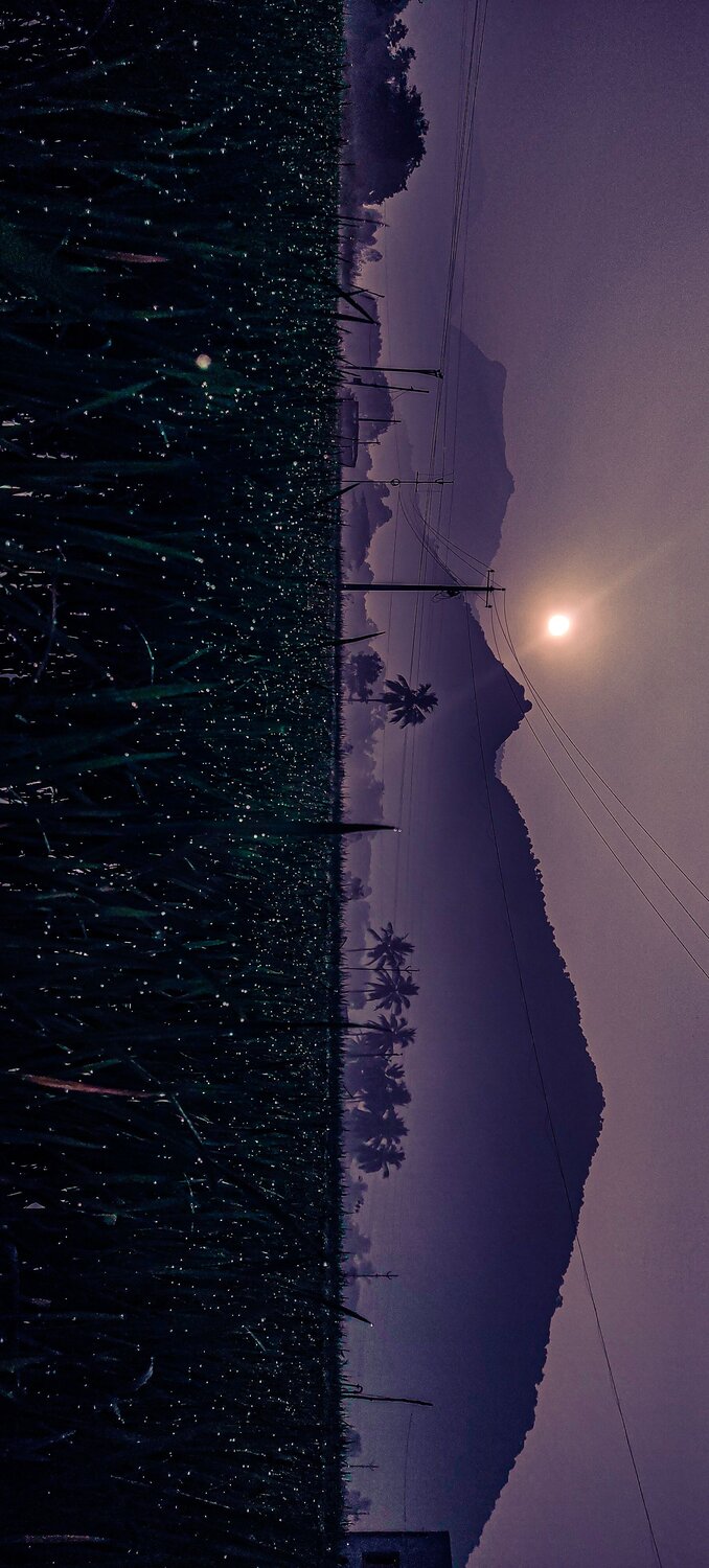 Photo #7502898