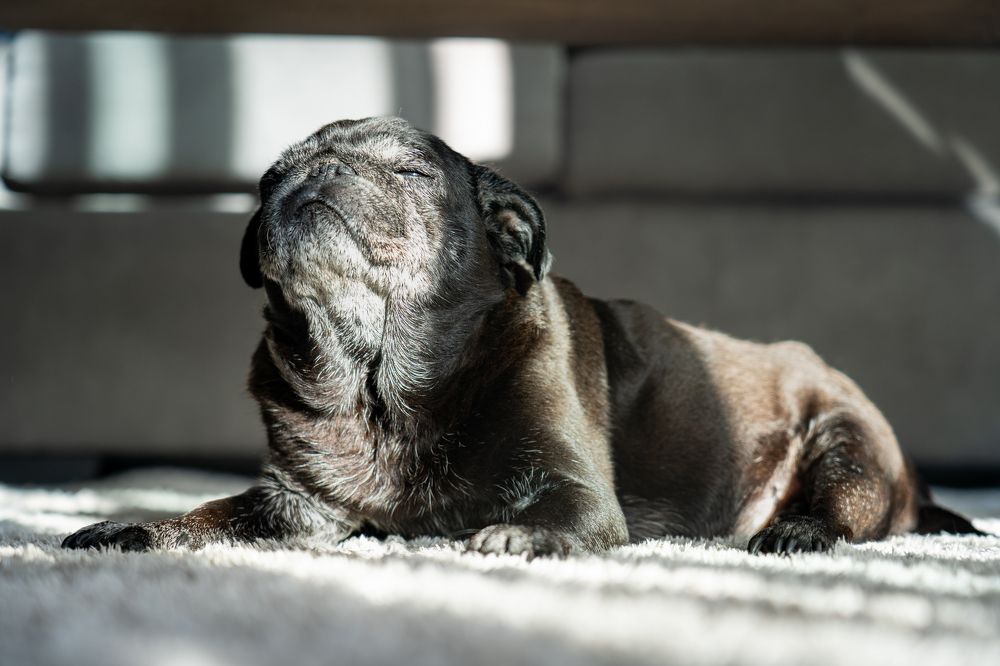 Photograph by antonio Solimeno