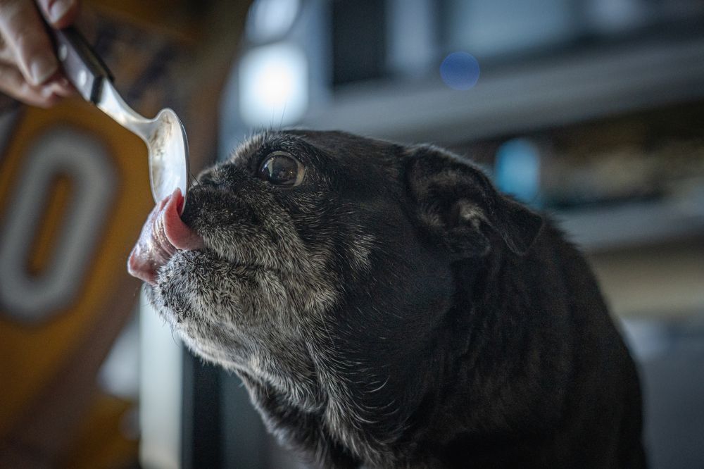 Photograph by antonio Solimeno