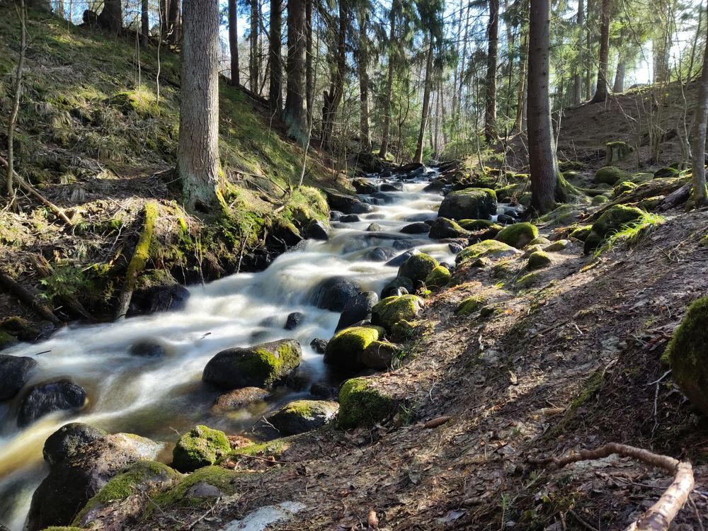 Photograph by Марина Кравцова