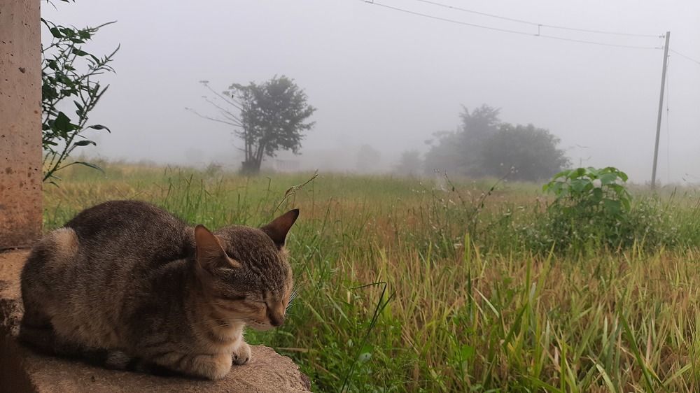 Photograph by Nilesh Mohite