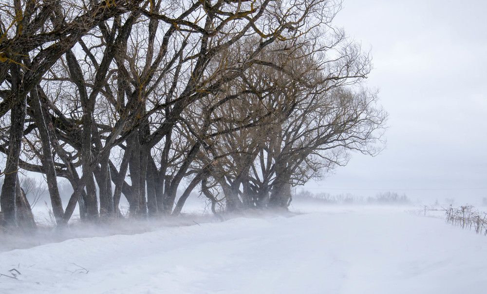 Photograph by Nora Cheprasova