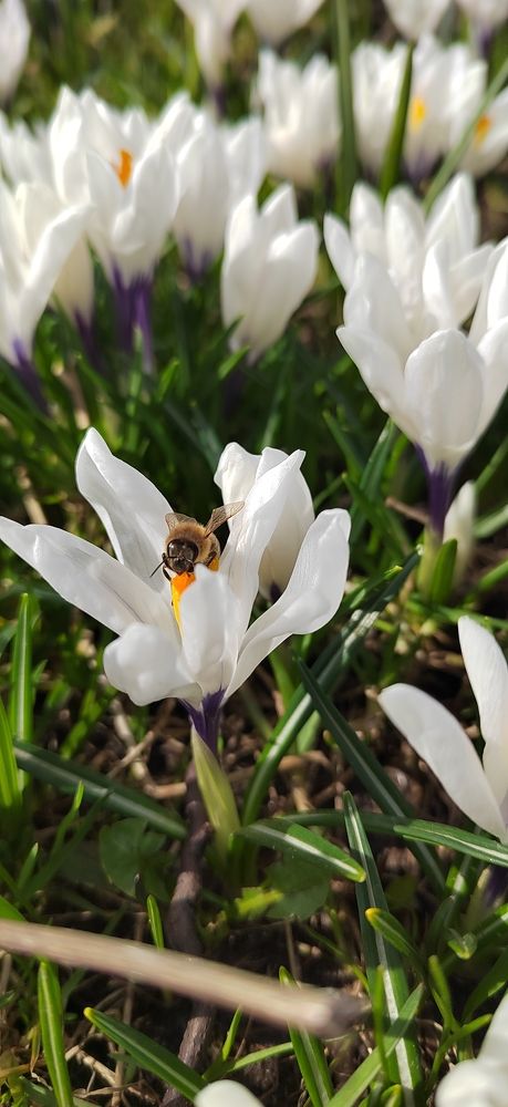 Photograph by Татьяна Афанасьева