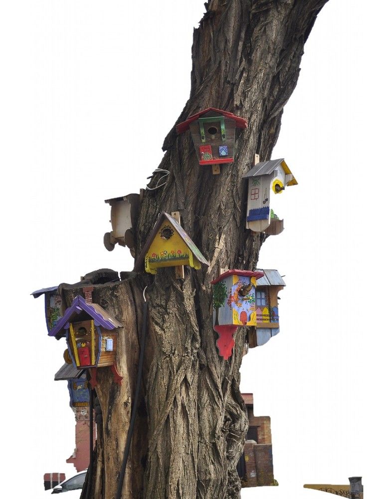 Photograph by Алекскандр Фатеев