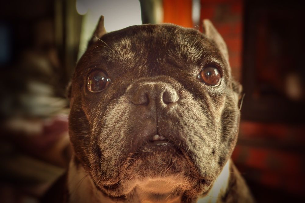 Photograph by Дайана