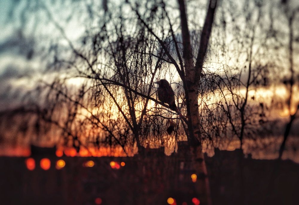 Photograph by Дайана