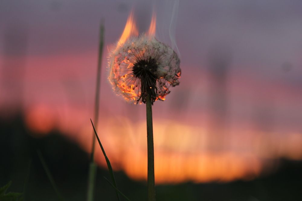 Photograph by Андрей Головин