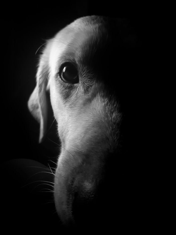 Photograph by Дарья Вега