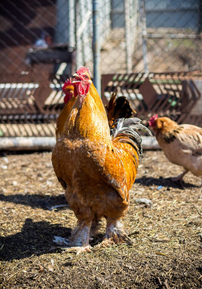 Photograph by Нефедова Ангелина