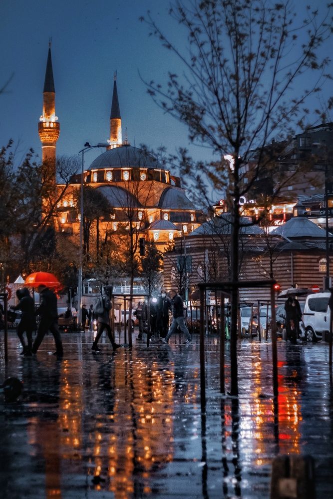 Photograph by Дарья Вега