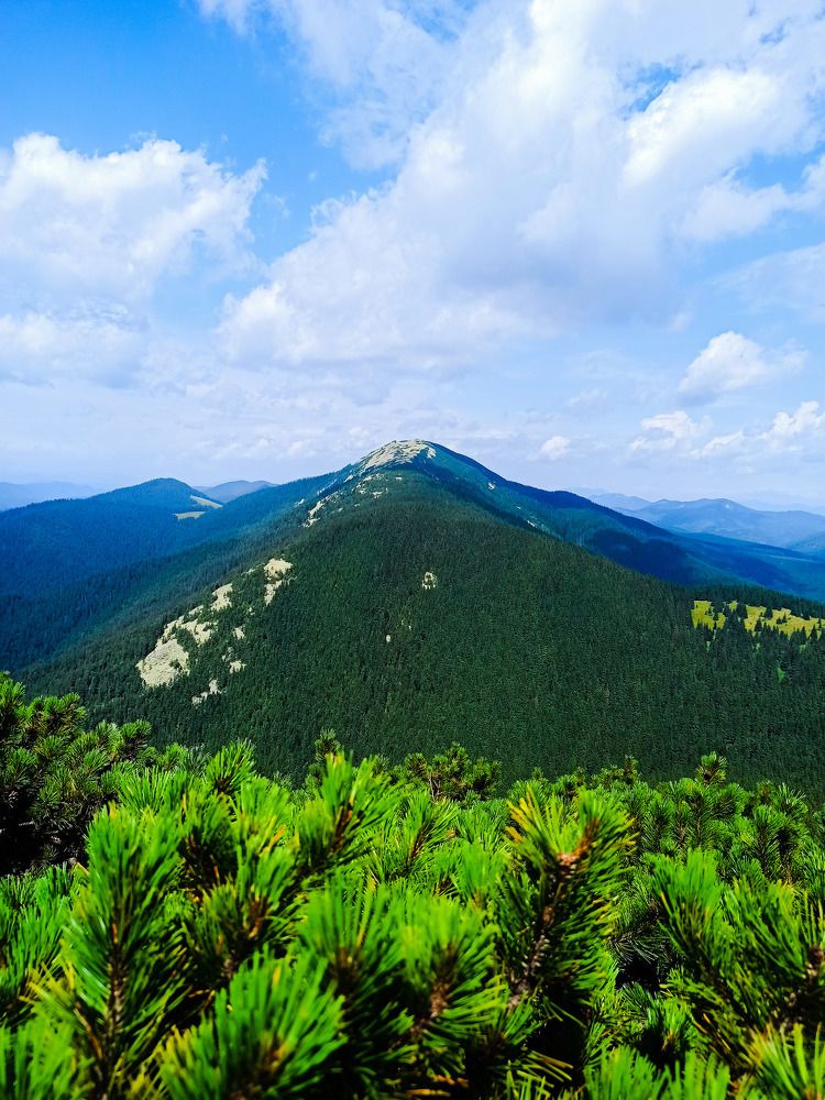 Photograph by Наталия Бровкина