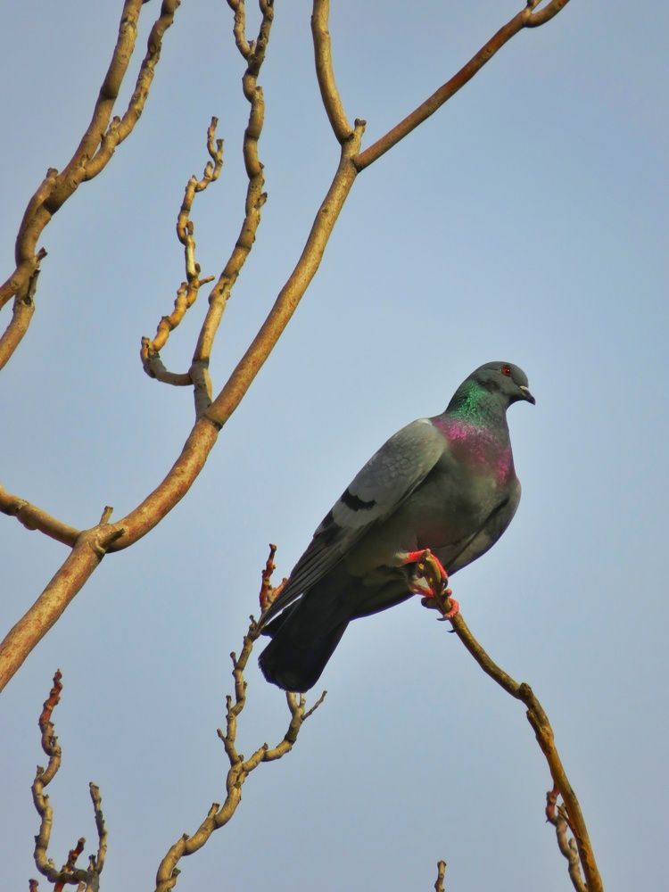 Фотография автора Mahdi Mohammadi