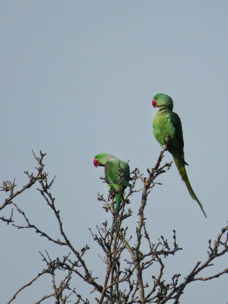 Фотография автора Mahdi Mohammadi