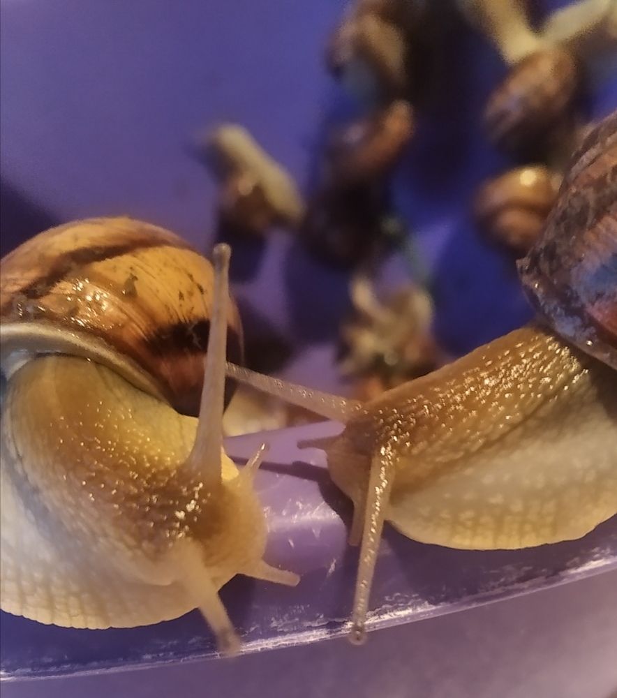 Фотография автора Лилия