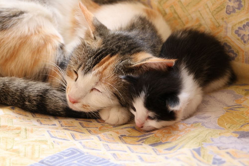 Photograph by Cengiz Yalcin