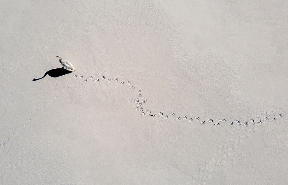 Photograph by Павел Невенчаный