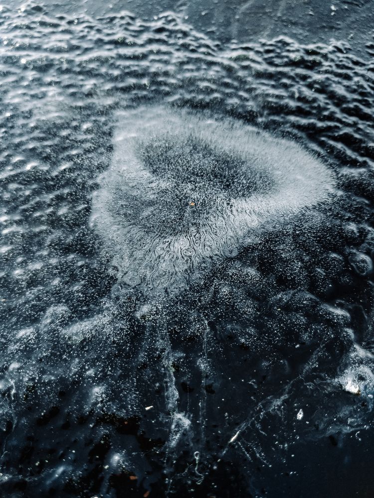 Photograph by Юрий Карач