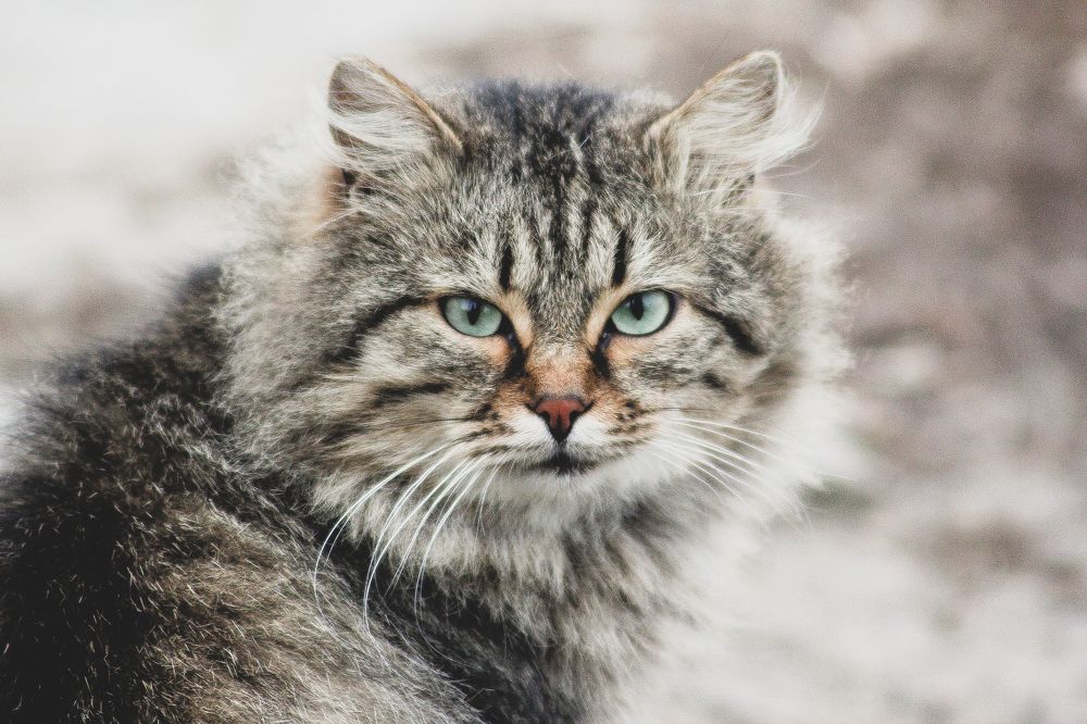 Photograph by Александр Малютин