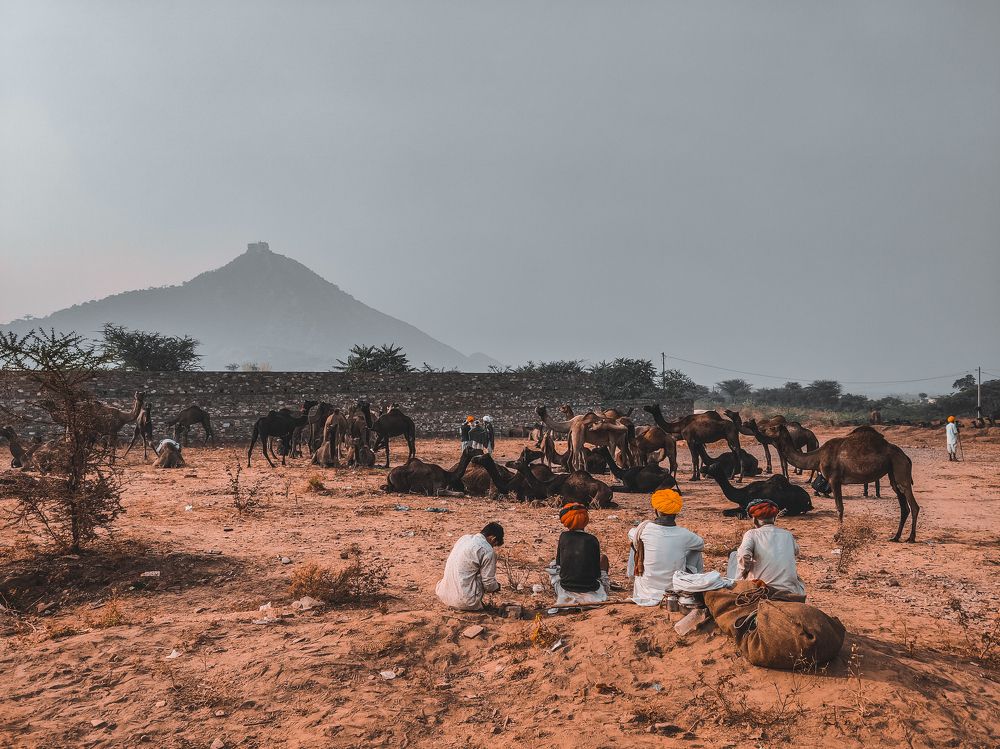 Photograph by Manmeet manan