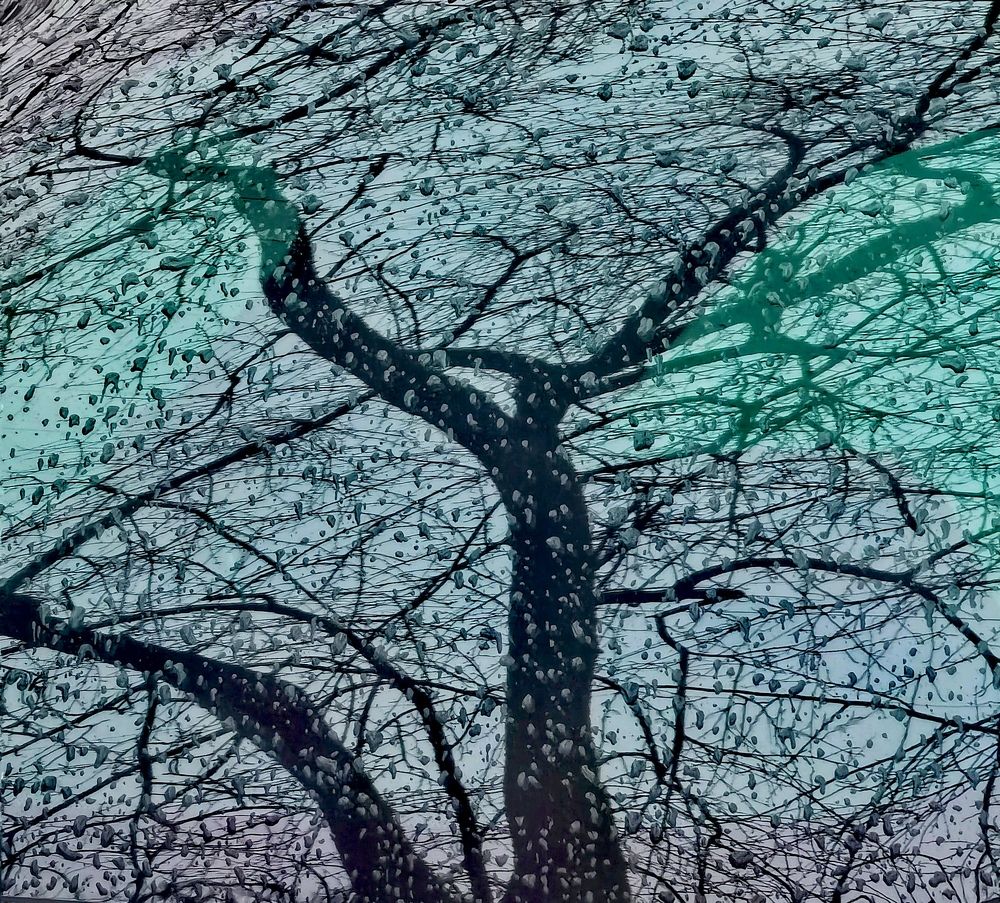 Photograph by Олика