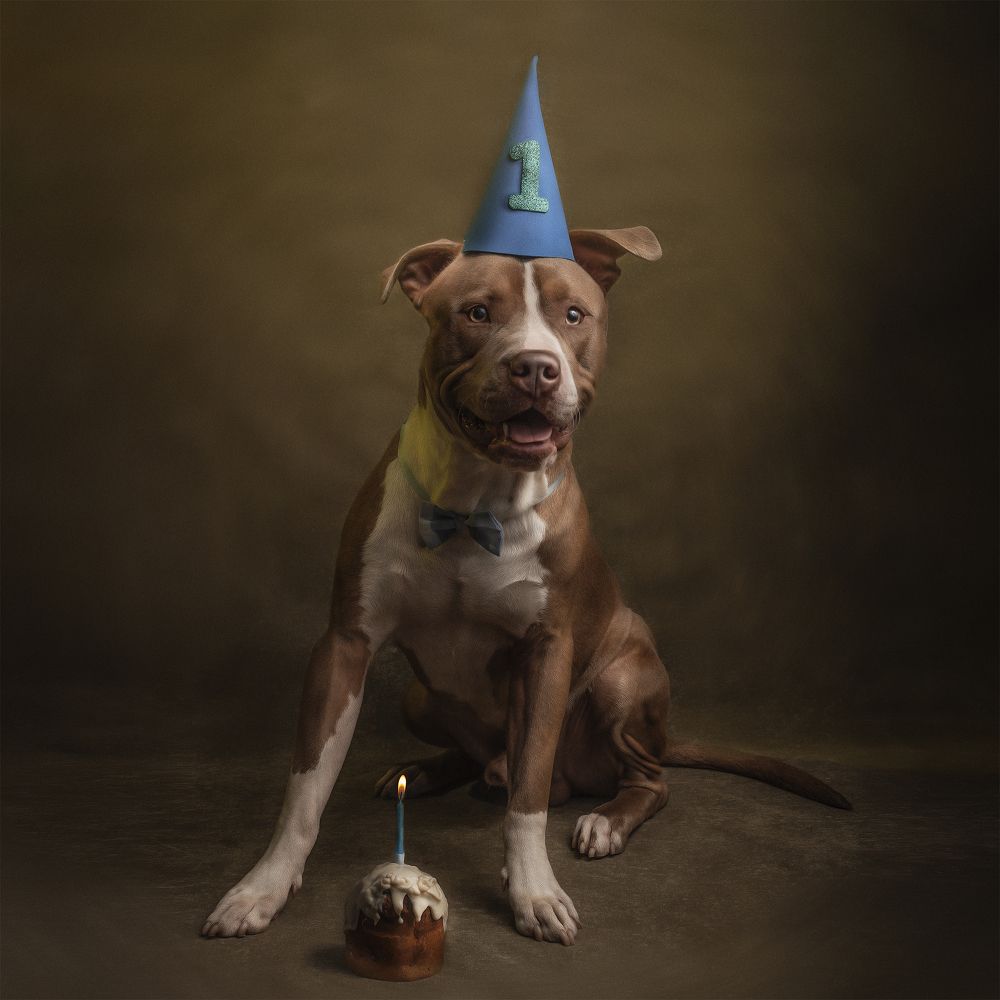 Photograph by Braian Reynoso