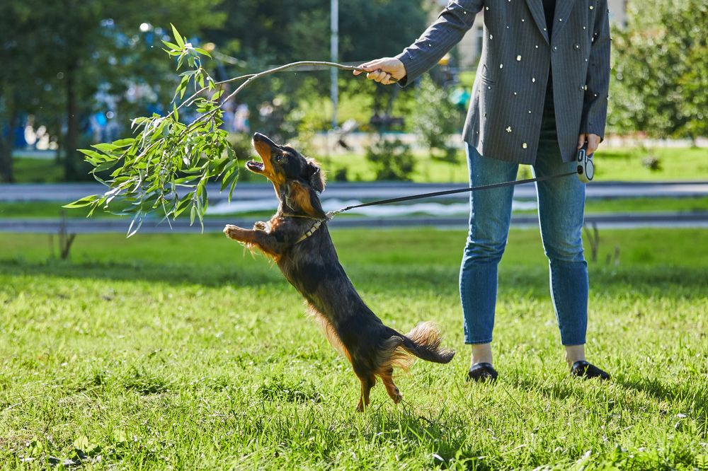 Photograph by Никита