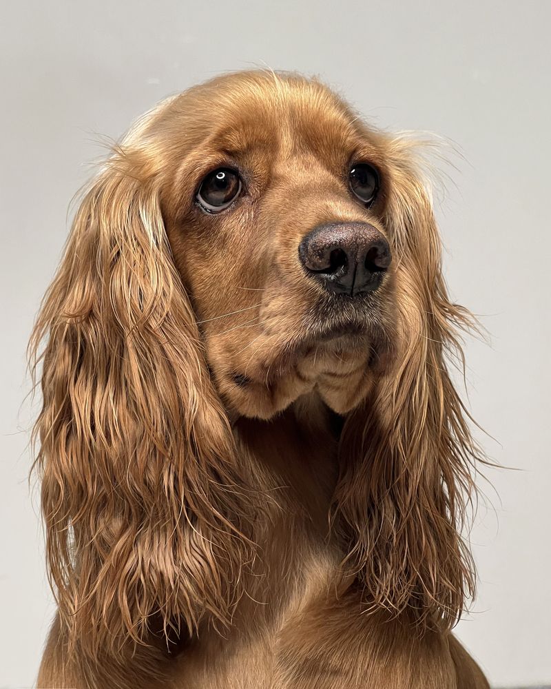 Photograph by Roham Roham azarpira