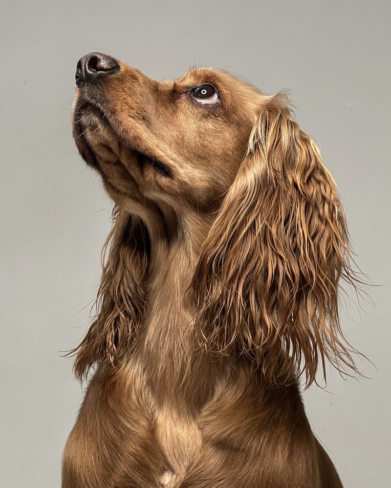 Photograph by Roham Roham azarpira