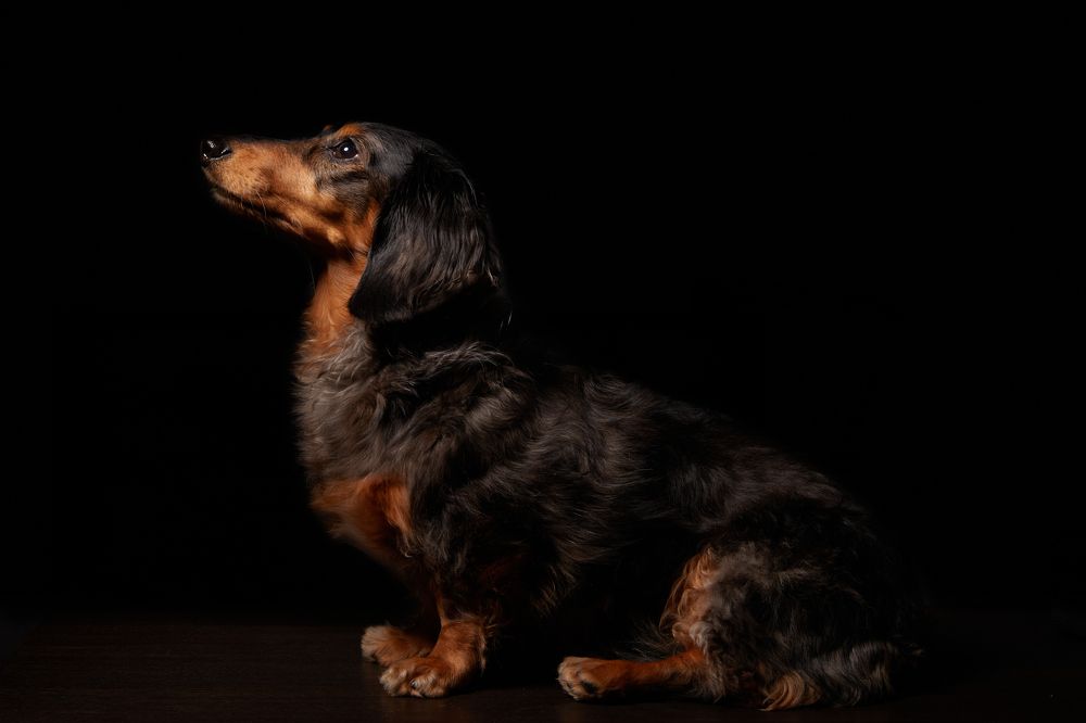 Photograph by Никита