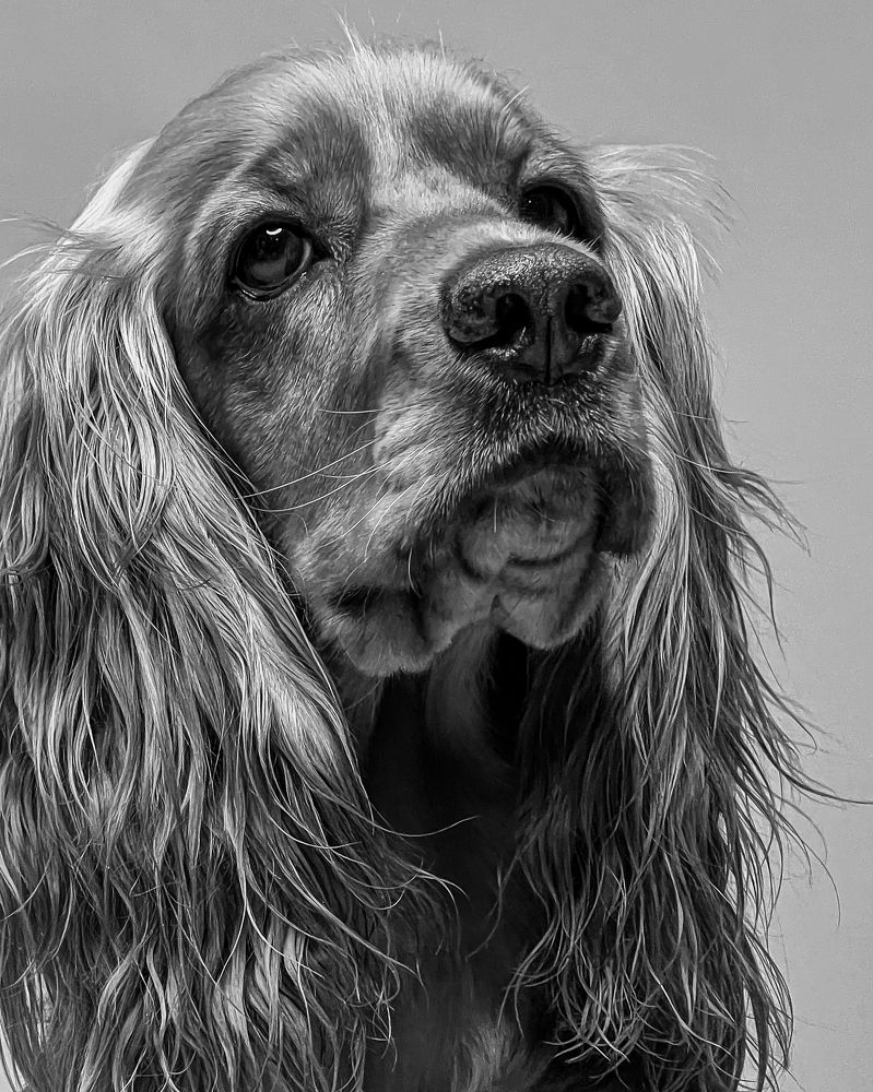 Photograph by Roham Roham azarpira