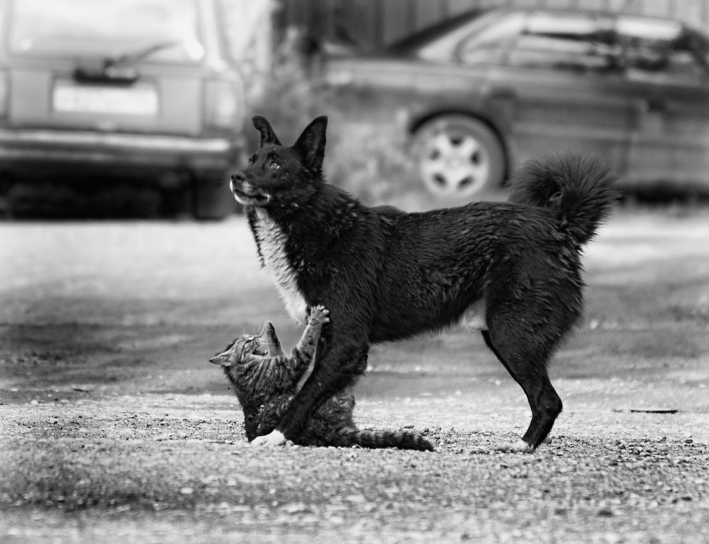 Photograph by Олег Тыркин