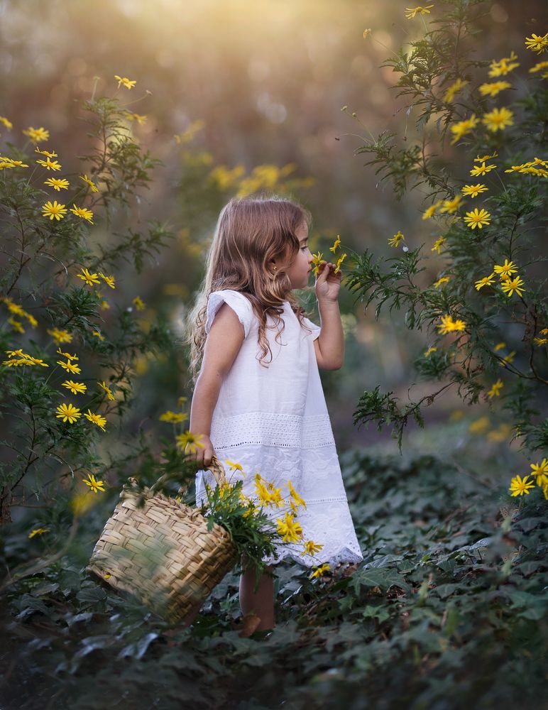 Entre flores amarillas.