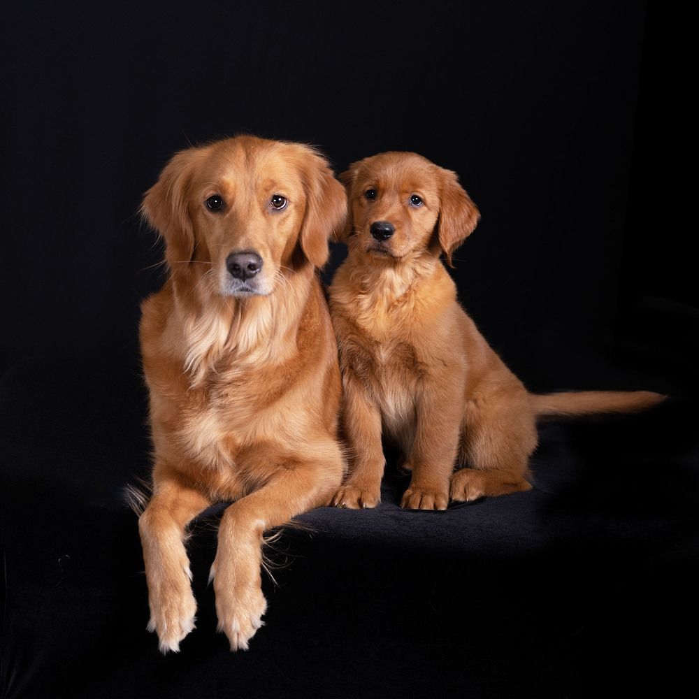 Фотография автора Irina Kozhemyakina