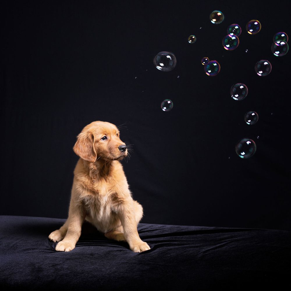 Фотография автора Irina Kozhemyakina