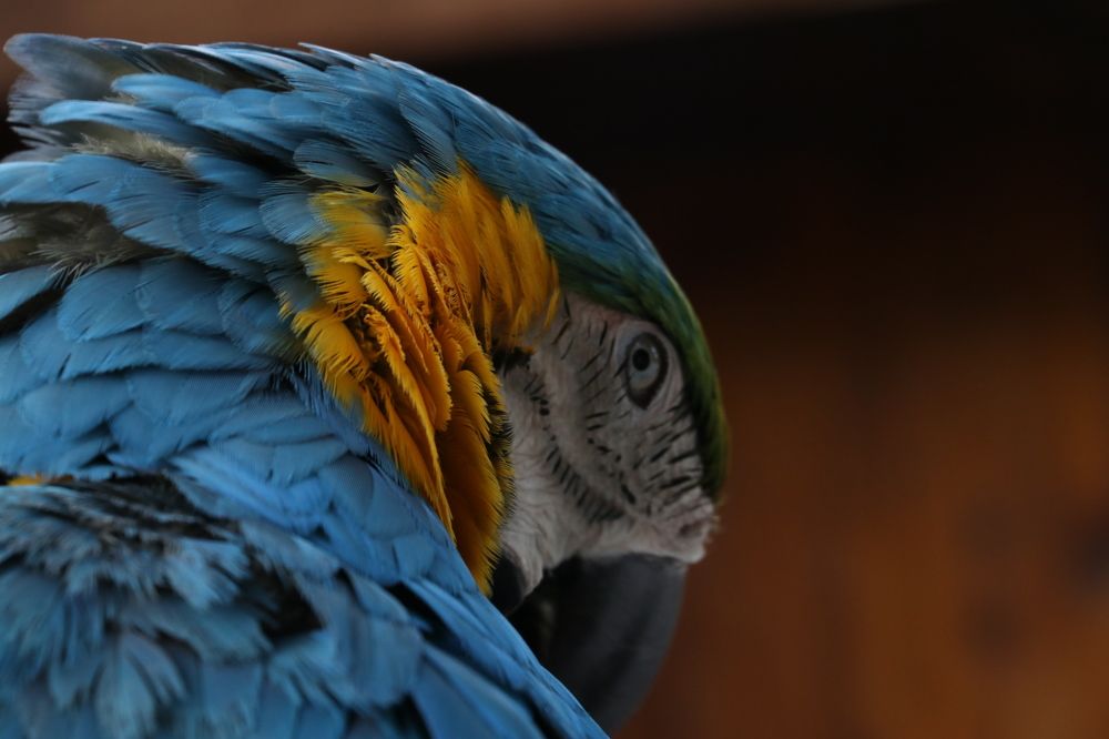 Photograph by Zahra HassanPour