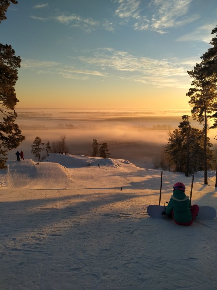 Photo #7503638