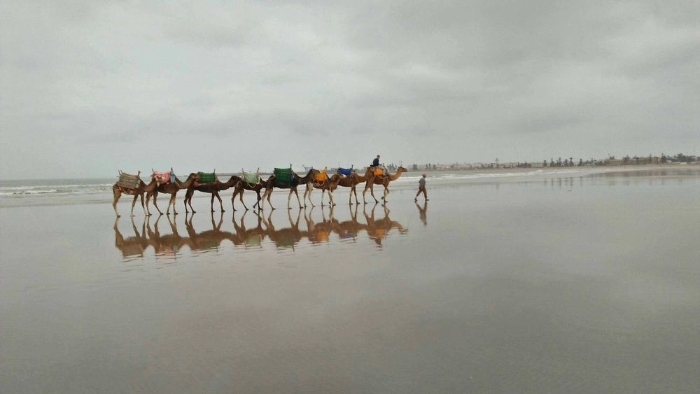 Photograph by Jellab Abdellatif