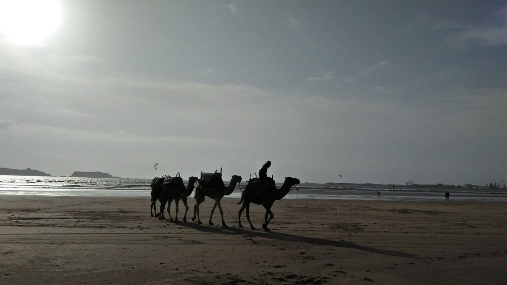 Photograph by Jellab Abdellatif