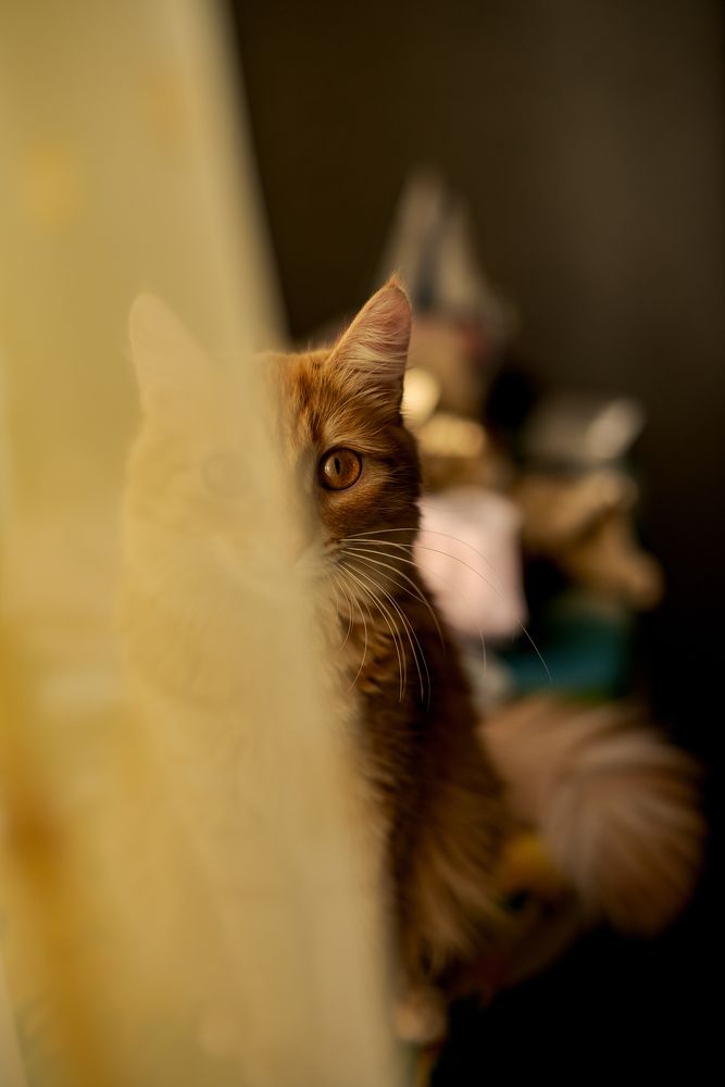 Photograph by Наталья Каргина