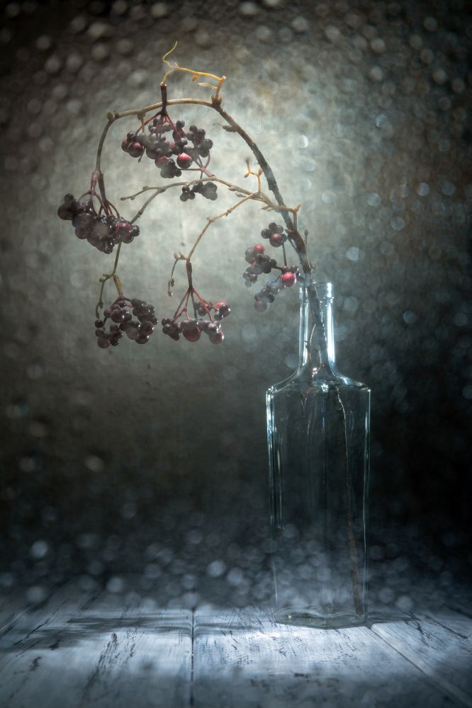 Фотография автора Дмитрий Герц