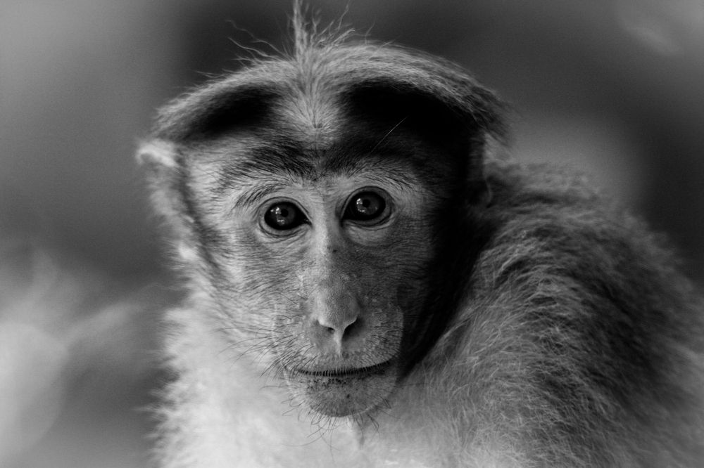 Photograph by mantosh kumar