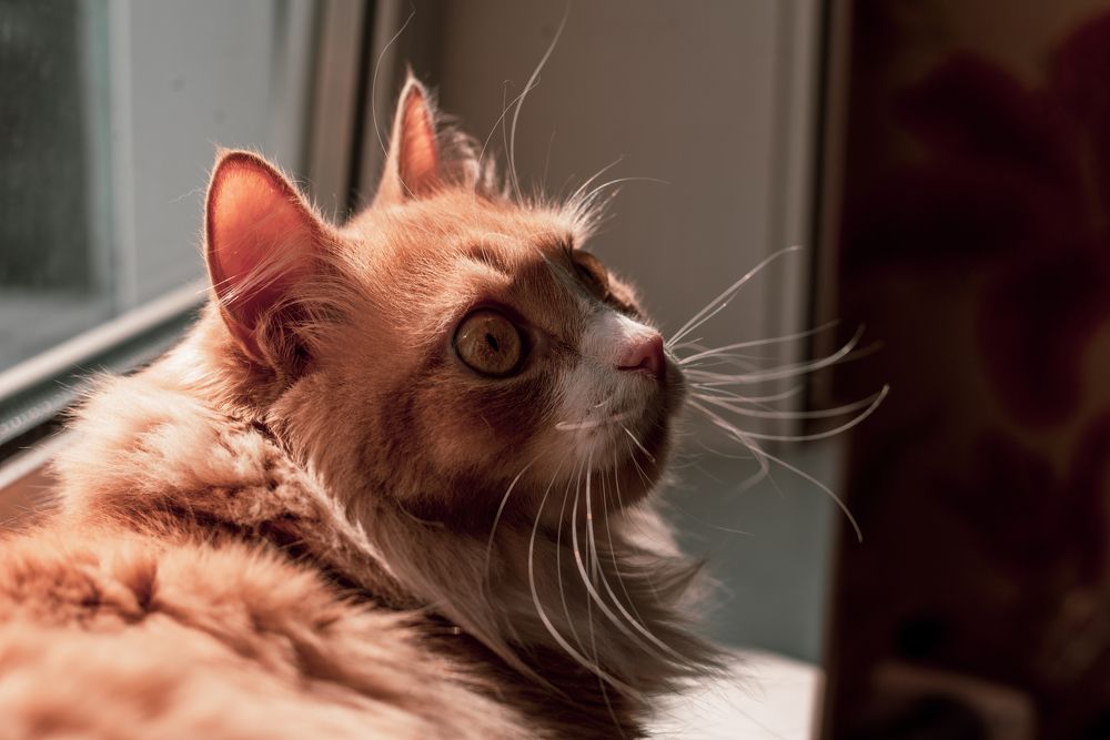 Photograph by Наталья Каргина