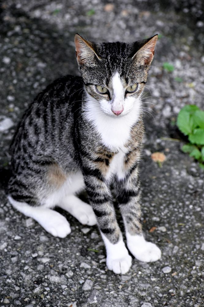 Photograph by Yannah Tekwie