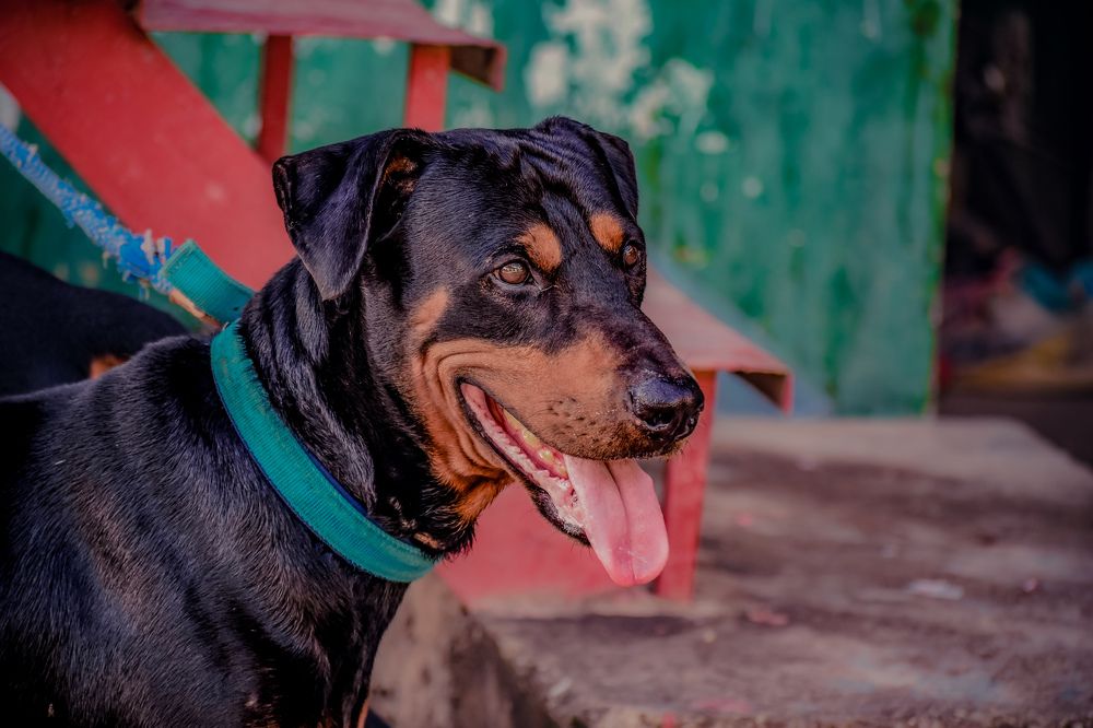 Photograph by Yannah Tekwie