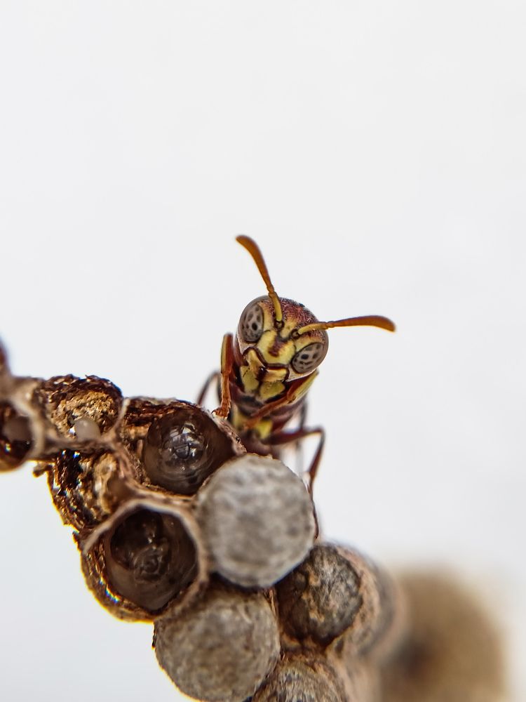 Photograph by Govind Viswanath