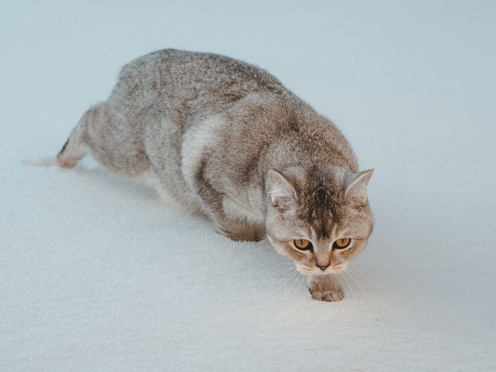 Photograph by Oxana Rovitskaya