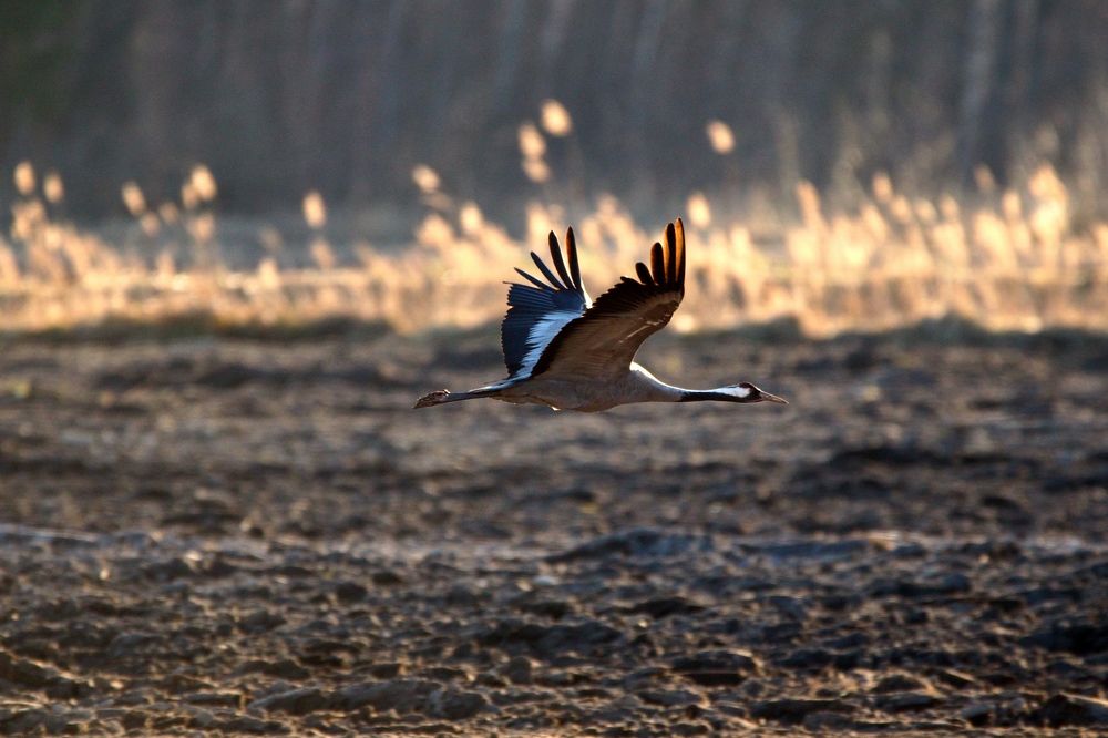 Photograph by Vitalijs Kopa