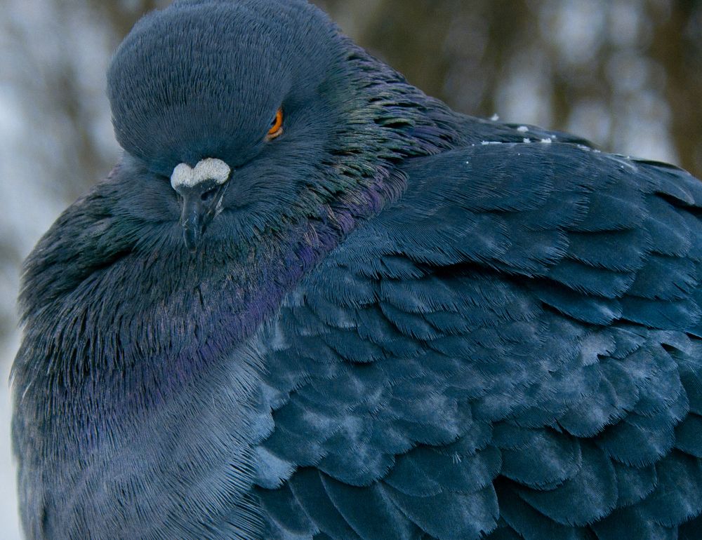 Photograph by Ivan Majors