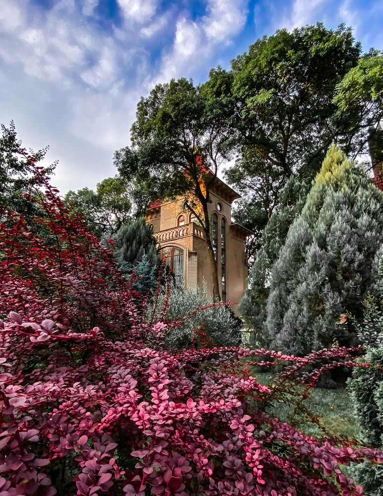 Photograph by Денис Гончаренко