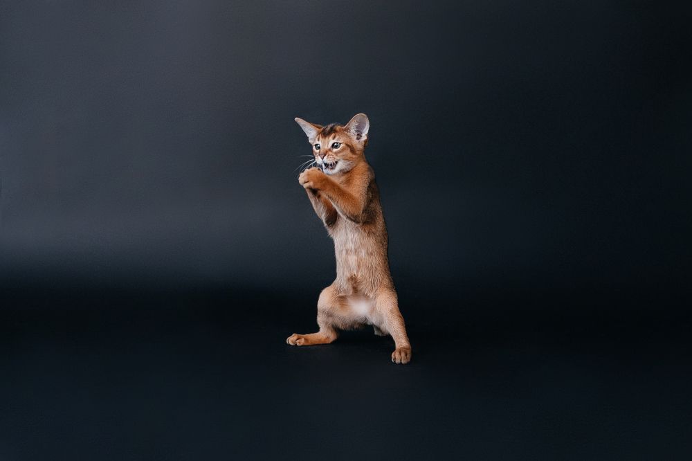 Photograph by Ирина Гриб